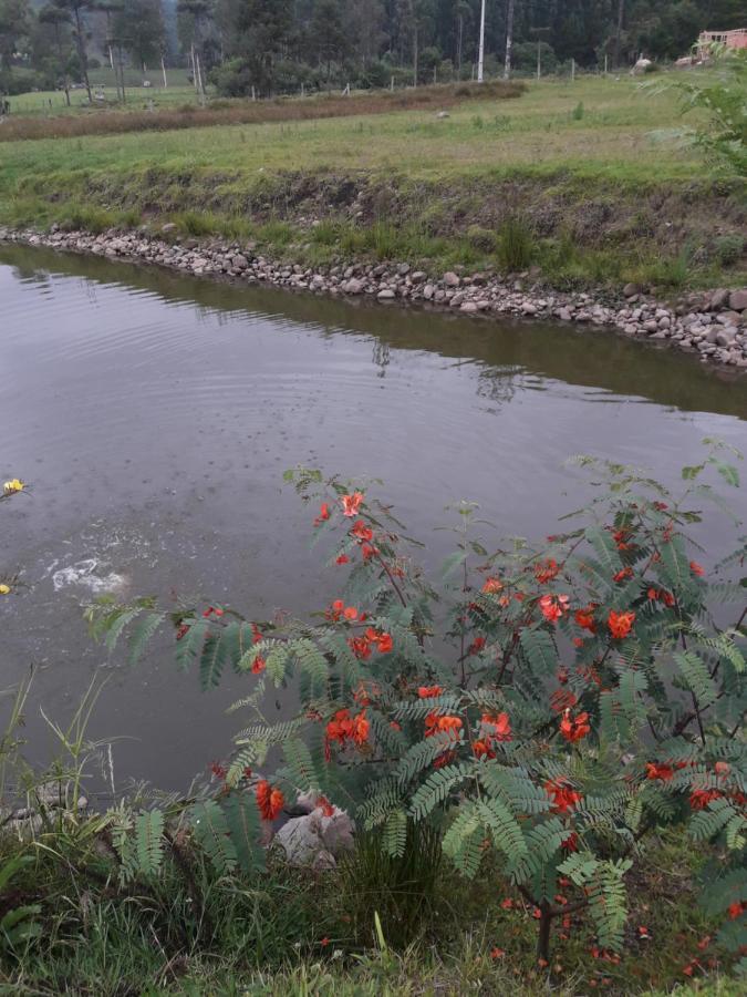 Pousada Requinte Ponto Rural อูรูบิซิ ภายนอก รูปภาพ